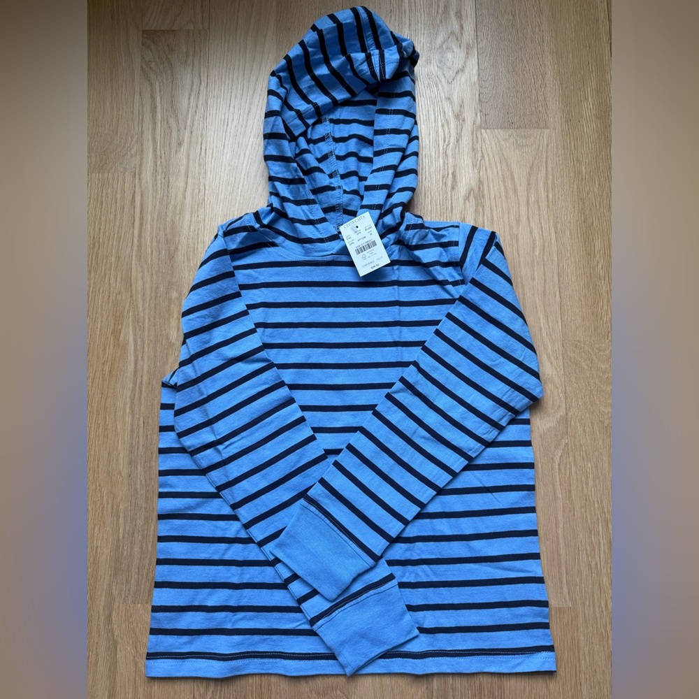 Crewcuts Blue Striped Long Sleeve Hoodie Shirt